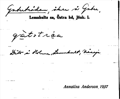 Bild på arkivkortet för arkivposten Gatuträdan
