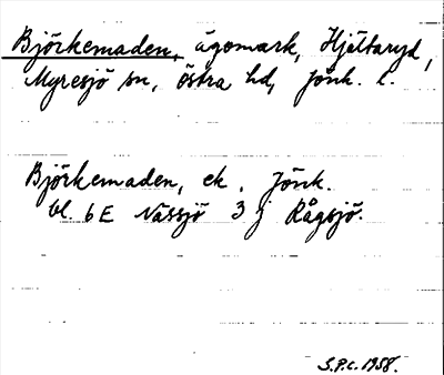 Bild på arkivkortet för arkivposten Björkemaden