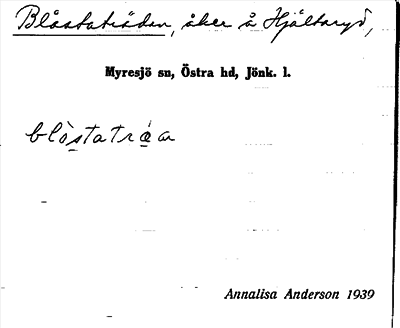 Bild på arkivkortet för arkivposten Blåstaträdan
