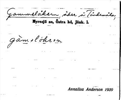 Bild på arkivkortet för arkivposten Gammelåkern
