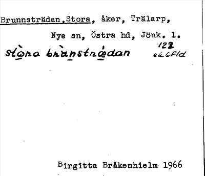 Bild på arkivkortet för arkivposten Brunnsträdan, Stora
