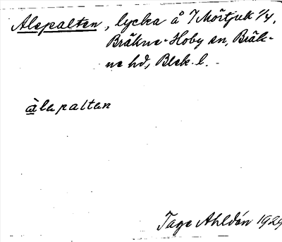 Bild på arkivkortet för arkivposten Alepalten