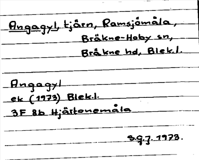 Bild på arkivkortet för arkivposten Angagyl