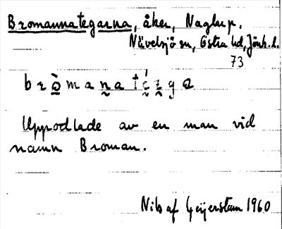 Bild på arkivkortet för arkivposten Bromannategarna