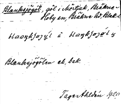 Bild på arkivkortet för arkivposten Blanksjögöl