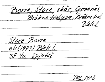 Bild på arkivkortet för arkivposten Borre, Store