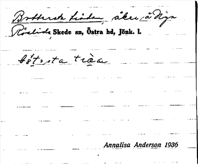 Bild på arkivkortet för arkivposten Bottersta trädan