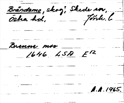 Bild på arkivkortet för arkivposten Brändemo