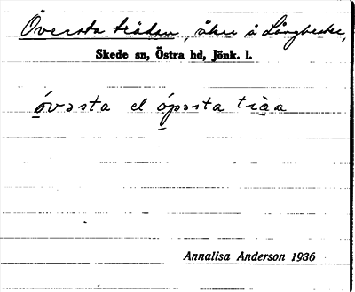 Bild på arkivkortet för arkivposten Översta trädan