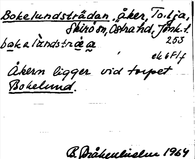 Bild på arkivkortet för arkivposten Bokelundsträdan