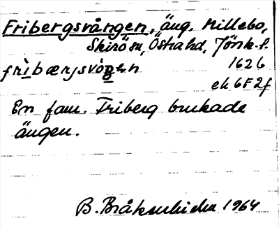 Bild på arkivkortet för arkivposten Fribergsvången