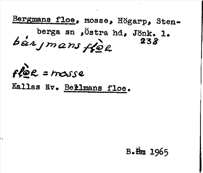 Bild på arkivkortet för arkivposten Bergmans floe