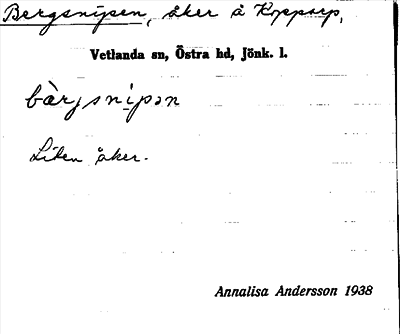Bild på arkivkortet för arkivposten Bergsnipen
