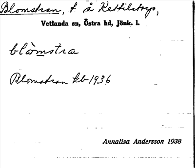 Bild på arkivkortet för arkivposten Blomstran