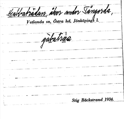 Bild på arkivkortet för arkivposten Gabbaträdan