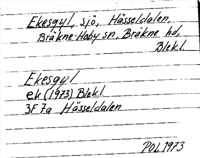 Bild på arkivkortet för arkivposten Ekesgyl