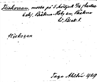 Bild på arkivkortet för arkivposten Fliskorran