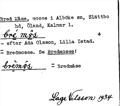 Bild på arkivkortet för arkivposten Bred Måse, se Bredmåse