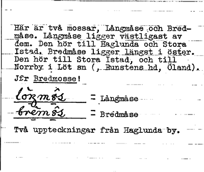 Bild på baksidan av arkivkortet för arkivposten Långmåsen