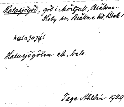 Bild på arkivkortet för arkivposten Halasjögöl
