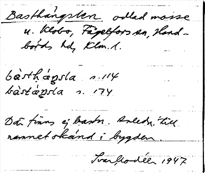 Bild på arkivkortet för arkivposten Basthängslen