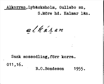 Bild på arkivkortet för arkivposten Alkorran