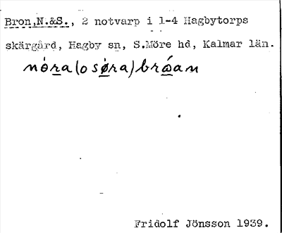 Bild på arkivkortet för arkivposten Bron, N. & S.