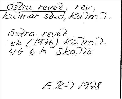 Bild på arkivkortet för arkivposten Östra revet