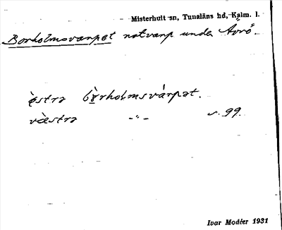 Bild på arkivkortet för arkivposten Borholmsvarpet