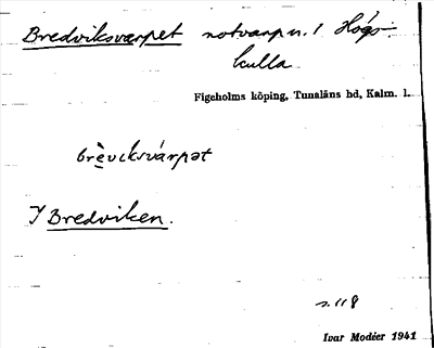 Bild på arkivkortet för arkivposten Bredviksvarpet