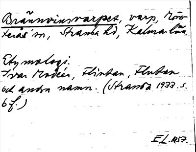 Bild på arkivkortet för arkivposten Brännvinsvarpet