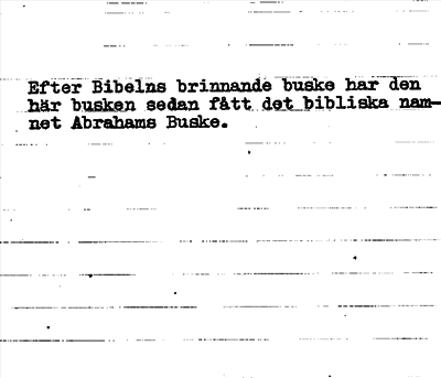 Bild på baksidan av arkivkortet för arkivposten Abrahams Buske