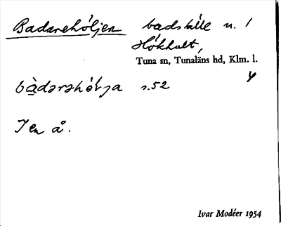 Bild på arkivkortet för arkivposten Badarehöljen