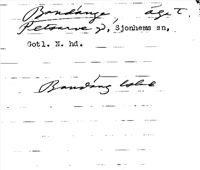 Bild på arkivkortet för arkivposten Bandänge