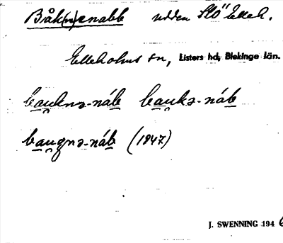 Bild på arkivkortet för arkivposten Båk(n)enabb