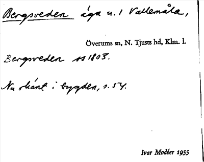 Bild på arkivkortet för arkivposten Bergsveden