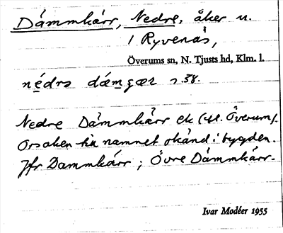 Bild på arkivkortet för arkivposten Dämmkärr, Nedre