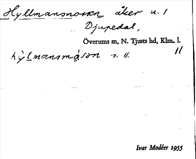 Bild på arkivkortet för arkivposten Hyllmansmossen