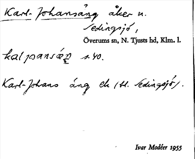 Bild på arkivkortet för arkivposten Karl-Johansäng
