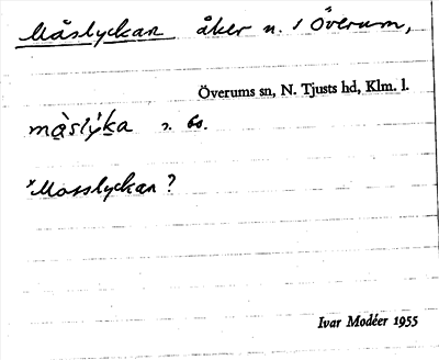 Bild på arkivkortet för arkivposten Måslyckan
