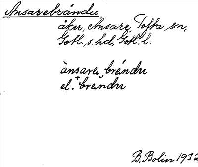 Bild på arkivkortet för arkivposten Ansarebrändu