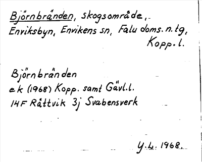 Bild på arkivkortet för arkivposten Björnbränden
