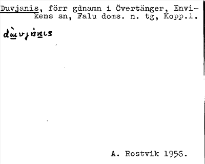 Bild på arkivkortet för arkivposten Duvjanis