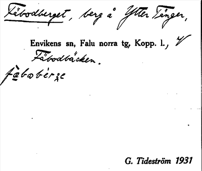 Bild på arkivkortet för arkivposten Fäbodberget