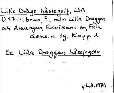 Bild på arkivkortet för arkivposten Lille Drägs häsiegolf