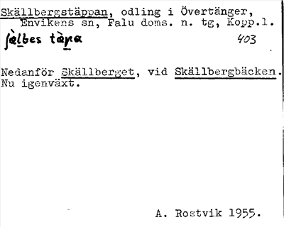 Bild på arkivkortet för arkivposten Skällbergstäppan