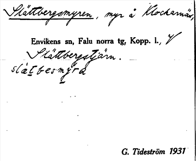 Bild på arkivkortet för arkivposten Slättbergsmyren