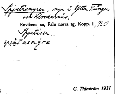 Bild på arkivkortet för arkivposten Spjutåsmyren