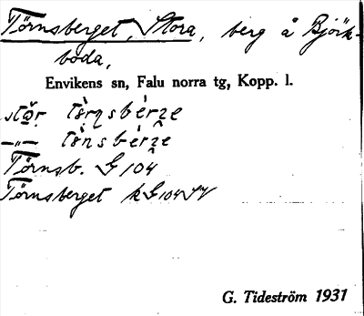 Bild på arkivkortet för arkivposten Törnsberget, Stora