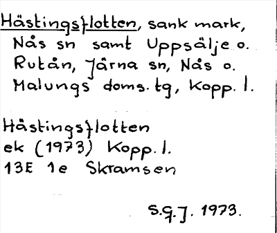 Bild på arkivkortet för arkivposten Hästingsflotten